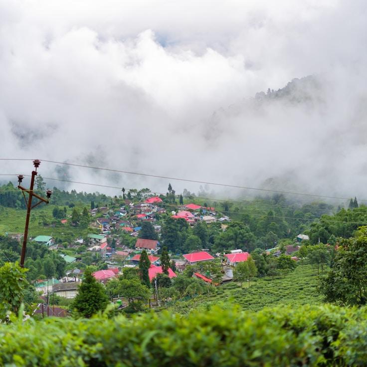 Entertainment zone at night in Netherlands